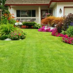 Landscaping & Sod St. Tammany Parish