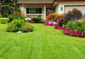 Landscaping & Sod St. Tammany Parish