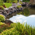 Pond Design & Installation St. Tammany Parish