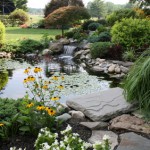 Ponds & Water Features St. Tammany Parish