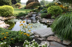 Ponds & Water Features St. Tammany Parish