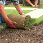 Sod Installation St. Tammany Parish