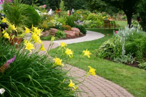 Benefits of Using a Professional St. Tammany Parish Landscaping Company