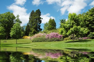 Pond Landscaping St. Tammany Parish Landscaping