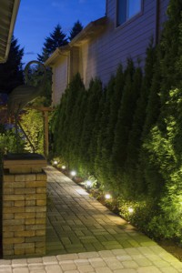 Tips for Effective St. Tammany Parish Landscape Lighting 